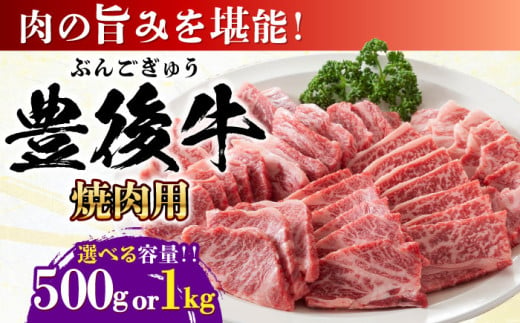 [選べる容量]おおいた豊後牛 焼肉用 500g or 1kg 日田市 / 株式会社MEAT PLUS 牛 うし 黒毛和牛 和牛 豊後牛 [AREI021-022]