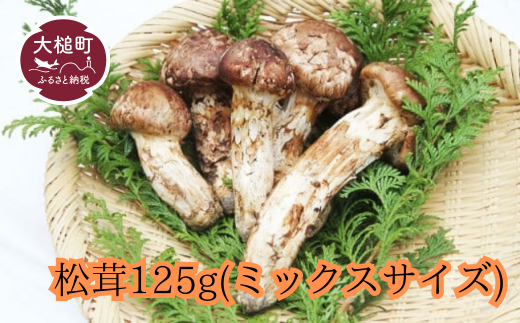 【令和7年10月より発送】大槌産　まつたけミックスサイズ125g　松茸 348865 - 岩手県大槌町