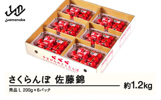 【ふるさと納税】先行予約 さくらんぼ 佐藤錦 秀品 L 約1.2kg 令和7年産 2025年産 山形県産 フルーツ 果物 tf-snpsl1200 1838559 - 山形県山辺町