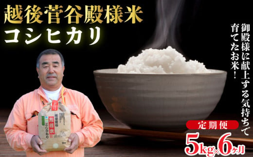 【定期便】令和6年産 新潟県産 越後菅谷殿様米 5㎏×6ヵ月【 新潟県 新潟産 新発田産 米 コシヒカリ 特別栽培米 越後菅谷米販売 5kg 6ヵ月 定期便  殿様 数量限定  】 867178 - 新潟県新発田市