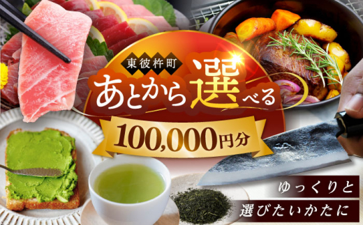 【あとから選べる】東彼杵町ふるさとギフト 10万円分/寄付 あとから寄附 あとからギフト あとからセレクト あとからチョイス あとから選べる 長崎県 駆け込み寄附 後から選べる 後から選べるギフト 後からセレクト 先に寄付 100000 10万 [BZW006] 1852440 - 長崎県東彼杵町