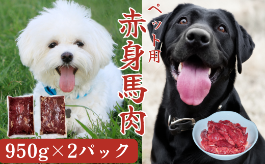 【定期便12回】(ペット用)  馬肉切り落とし 1900g（950g×２パック）馬肉 ペット ヘルシー 切り落とし 定期便