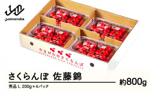 【ふるさと納税】先行予約 さくらんぼ 佐藤錦 秀品 L 約800g 令和7年産 2025年産 山形県産 フルーツ 果物 tf-snpsl800 1838558 - 山形県山辺町