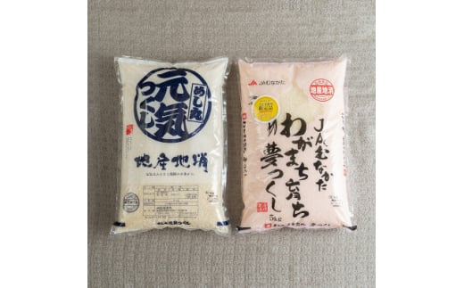 ＜毎月定期便＞福岡県産米『夢つくし』&『元気つくし』各5kg(大野城市)全3回【4062111】 1881048 - 福岡県大野城市