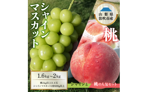 桃×シャインマスカット 1.6kg〜2kg 桃1kg以上〜 シャインマスカット600g以上 詰め合わせセット 154-047