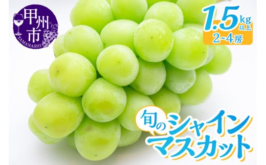 産地直送 山梨自然の恵み！旬のシャインマスカット 2～4房 1.5kg以上【2025年発送】（LKS）B14-850 【シャインマスカット 葡萄 ぶどう ブドウ 令和7年発送 期間限定 山梨県産 甲州市 フルーツ 果物】