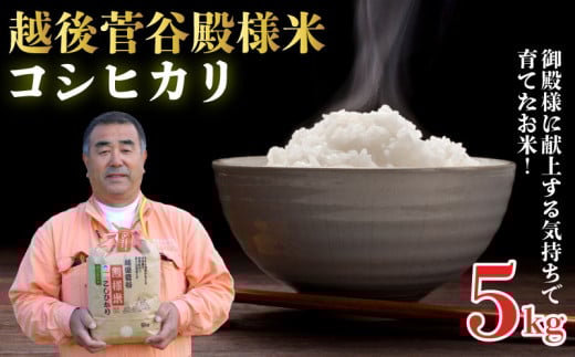新潟県産 越後菅谷殿様米 5㎏ 令和6年産 【 新潟県産 新発田産 米 5kg 越後菅谷 殿様米 コシヒカリ D05_03 】