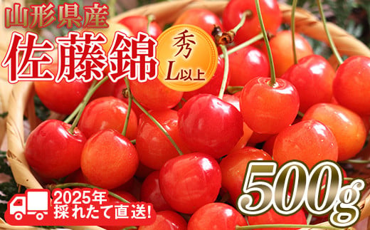 FYN6-028 ≪先行予約≫2025年 山形県産 さくらんぼ 佐藤錦 500g 秀/L以上 バラパック詰め 2025年6月中旬頃より発送 果物 くだもの フルーツ 夏果実 サクランボ 桜桃 高級 贈答 ギフト 山形県 西川町 864627 - 山形県西川町