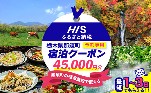 HISふるさと納税宿泊予約専用クーポン（栃木県那須町）45,000円分｜宿泊 宿泊券 旅行 旅行券 旅券 クーポン 旅 トラベル お出かけ 温泉 宿泊予約 HIS 那須 〔H-17〕 1861382 - 栃木県那須町