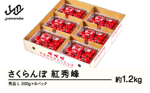 【ふるさと納税】先行予約 さくらんぼ 紅秀峰 秀品 L 約1.2kg 令和7年産 2025年産 山形県産 フルーツ 果物 tf-bspsl1200 1838556 - 山形県山辺町