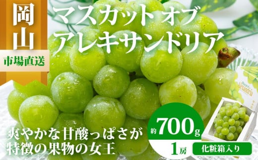 ぶどう 2025年 先行予約 マスカット ・オブ・アレキサンドリア 1房 700g以上 化粧箱入り マスカット ブドウ 葡萄  岡山県産 国産 フルーツ 果物 ギフト 777320 - 岡山県岡山市