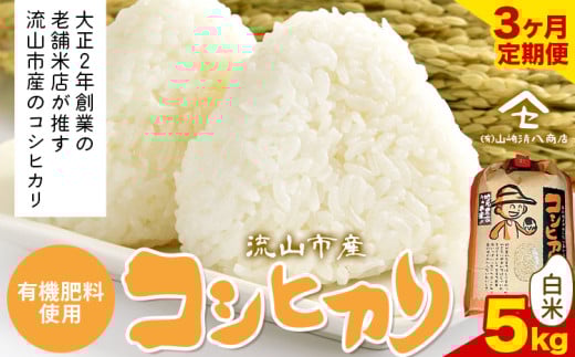 【毎月定期便3回】コシヒカリ 米 5kg《お申込み月の翌月から出荷開始》  有機肥料 白米 st-p