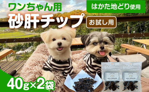 はかた地どり使用 お試しご家庭用 素材そのまま 砂肝カットのワンちゃん用おやつ 40g×2袋 砂肝 ジャーキー おやつ 福岡県産 天然素材100% 添加物不使用 安心 安全 犬用 ペット用品