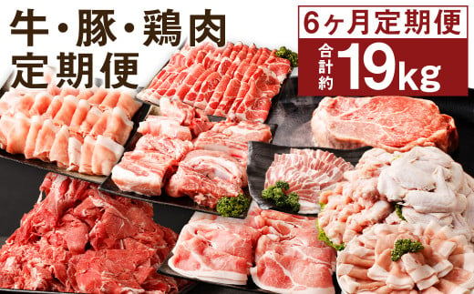 【1ヶ月に1回計6回届く定期便】 牛 ・ 豚 ・ 鶏肉 大容量 定期便 合計約19キロ以上！ 家計応援 牛肉 鶏 豚肉 肉  1805503 - 熊本県菊池市