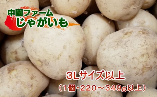 2025年 収穫 種子島 安納 中園ファーム 新 じゃがいも 3L サイズ以上 10kg　NFN428 【300pt】 300955 - 鹿児島県西之表市