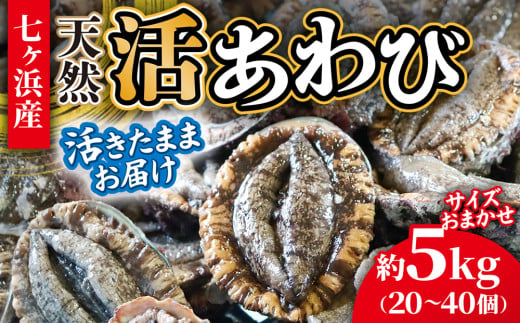 【 年内配送 】 活あわび 約 5kg (20〜40個) 活きたままお届け！エアーポンプ付 冷蔵 蝦夷あわび 《12月22日まで期間限定》サイズおまかせ｜ 七ヶ浜 漁協 鮑 ステーキ アワビ 刺身 肉厚 漁港直送 国産 天然 新鮮 お造り バター焼き 姿煮 高級 ご馳走 大晦日 おせち 高級 宮城県 七ヶ浜町 ｜ jf-aw05-r6