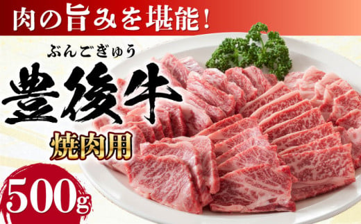 おおいた豊後牛 焼肉用 500g 日田市 / 株式会社MEAT PLUS　牛 うし 黒毛和牛 和牛 豊後牛 [AREI021] 1838538 - 大分県日田市