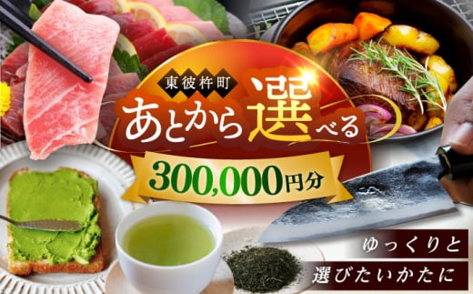 【あとから選べる】東彼杵町ふるさとギフト 30万円分/寄付 あとから寄附 あとからギフト あとからセレクト あとからチョイス あとから選べる 長崎県 駆け込み寄附 後から選べる 後から選べるギフト 後からセレクト 先に寄付 300000 30万 [BZW007] 1852441 - 長崎県東彼杵町