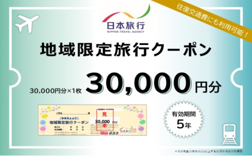 日本旅行 佐賀県鳥栖市地域限定旅行クーポン【30，000円分】 1881680 - 佐賀県鳥栖市