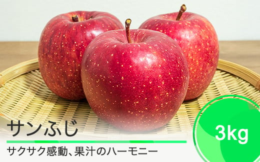 りんご サンふじ 3kg 2025年産 果物 フルーツ くだもの 大石田 山形県 ja-risfx3 1818023 - 山形県大石田町