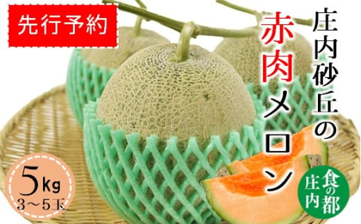 ★先行予約★食の都庄内　【令和7年産】庄内の赤肉メロン5kg（3～5玉）※令和7年7月上旬より発送予定 1981436 - 山形県三川町