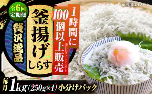 【全6回定期便】鮮度抜群＆水分率80％!ふわふわ釜揚げしらす 1kg 冷凍 シラス 鮮魚 ギフト 海鮮丼 広島県 江田島/三島水産株式会社 [XCN009] 1852451 - 広島県江田島市