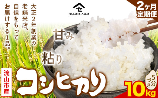 【毎月定期便2回】コシヒカリ 米 10kg《お申込み月の翌月から出荷開始》  新川耕地 5分づき 単発 千葉県 流山市 送料無料 米 こめ ごはん st-p