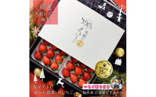 究極のふつういちご「厳選大粒 とちあいか」30粒入り&いちご狩りご招待券(ペア)【1565666】 1981955 - 栃木県栃木県庁