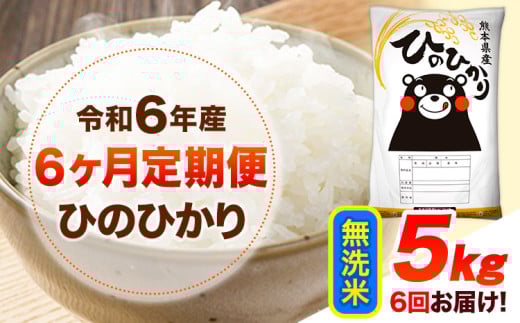 令和6年産 【6ヶ月定期便】 無洗米 ひのひかり 5kg 《お申し込み月の翌月から出荷開始》 熊本県産 無洗米 精米 ひの 送料無料 熊本県 山江村 SDGs 米 コメ こめ 国産 1607365 - 熊本県山江村