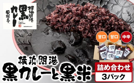 風我亭の横浜開港黒カレーと黒米の詰め合わせ　3パック【甘口2個、中辛1個】 1855120 - 神奈川県横浜市