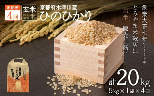 【定期便4か月】<特別栽培米>京都府木津川市産ひのひかり 玄米20kg (5kg×4回）毎日の健康に【053-36】