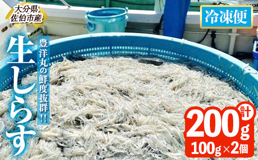 豊洋丸の鮮度抜群！ 生しらすセット (計200g・100g×2個) 冷凍 しらす しらす丼 丼ぶり 魚 さかな ご飯 ごはん 炒飯 チャーハン パスタ サラダ 国産 大分県 パック 小分け 便利 大分県 佐伯市【HK01】【OITAしらすhoyomaru豊洋丸】 1860419 - 大分県佐伯市