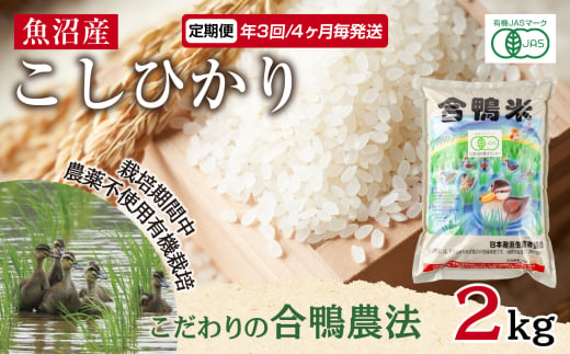 定期便 年3回 4か月毎 魚沼産 コシヒカリ 2kg あいがも農法 有機栽培米 精米 米 お米 ご飯 合鴨 ごんべい こしひかり 特A 人気 安全 お取り寄せ 送料無料 新潟県 十日町市  1882658 - 新潟県十日町市