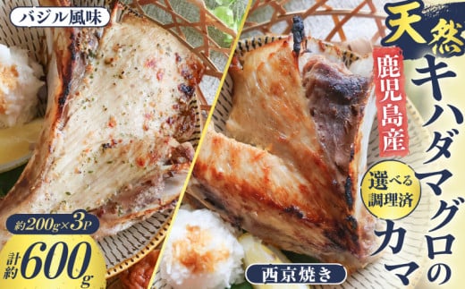 鹿児島産 天然 キハダマグロのカマ約200g×3P 調理済 バジル風味or西京焼き