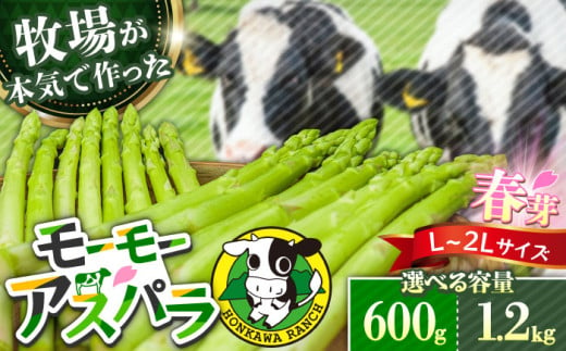 [先行予約・選べる容量]モーモーアスパラ春芽 L〜2L (600g or 1.2kg / 3月下旬より順次発送) 迷ったらこれ!ちょうどいい太さ2種セット 日田市 / 有限会社本川牧場 [ARAI002/ARAI030]