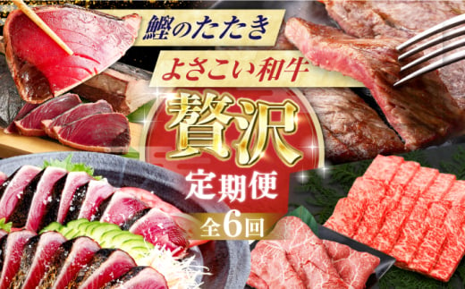 【6回定期便】カツオと和牛の赤身定期便〈2025年2月から発送開始〉/カツオ 食べ比べ 鰹のセット 土佐和牛 牛肉 高知市 こだわりのかつお [ATZX019] 1854632 - 高知県高知市