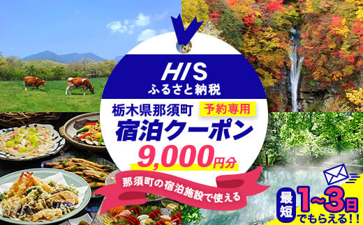 HISふるさと納税宿泊予約専用クーポン（栃木県那須町）9,000円分｜宿泊 宿泊券 旅行 旅行券 旅券 クーポン 旅 トラベル お出かけ 温泉 宿泊予約 HIS 那須 〔D-11〕 1861386 - 栃木県那須町