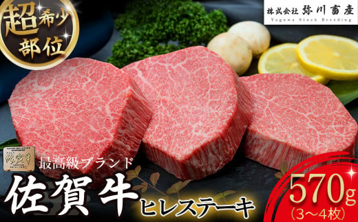 ZE4 佐賀牛 ヒレステーキ 合計570g (3枚) 超希少部位 ヒレ肉 ヒレ ステーキ 国産牛 和牛 ブランド牛 牛肉 肉 高級 人気 おすすめ 佐賀県 太良町  405927 - 佐賀県太良町