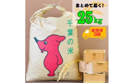 ＜毎月定期便＞吉田米屋イチオシ!白米25kg つやつや館山産コシヒカリ1等米全3回【4060561】 1878012 - 千葉県館山市