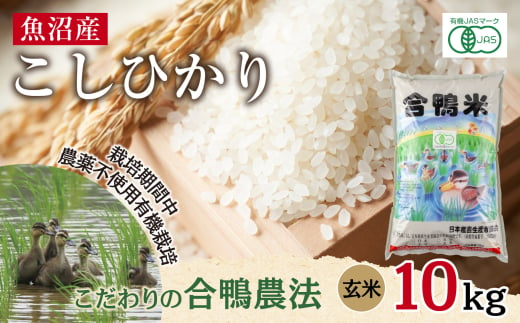 魚沼産 コシヒカリ 10kg あいがも農法 有機栽培米 玄米 米 お米 ご飯 胚芽 合鴨 ごんべい こしひかり 特A 人気 安全 お取り寄せ 送料無料 新潟県 十日町市 1882655 - 新潟県十日町市