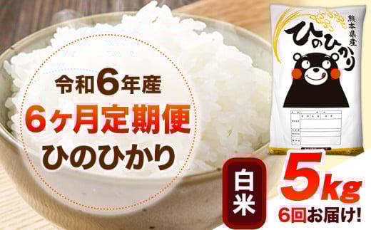 令和6年産 【6ヶ月定期便】 白米 ひのひかり 5kg 《お申し込み月の翌月から出荷開始》 熊本県産 白米 精米 ひの 送料無料 熊本県 山江村 SDGs 米 コメ こめ 国産 1607349 - 熊本県山江村