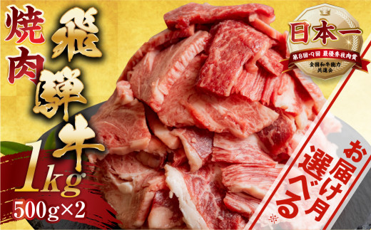 [発送月が選べる] スピード発送 対応 飛騨牛 焼肉 切り落とし 500g × 2 計 1kg | 牛肉 肉 切落し わけあり 訳あり商品 ワケアリ 不揃い 小分け 切り落とし小分け 冷凍 本巣市 トキノ屋 食品 訳有 焼肉セット 焼肉用 発送月選べる 12月 1月 2月 3月 4月 5月