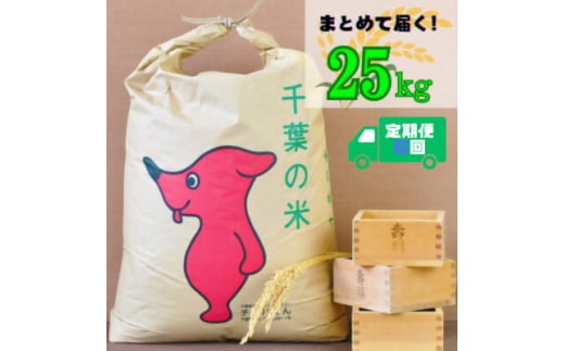 ＜毎月定期便＞吉田米屋イチオシ!白米25kg つやつや館山産コシヒカリ1等米全6回【4060564】 1878013 - 千葉県館山市