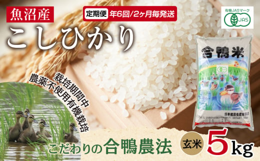 定期便 年6回 2か月毎 魚沼産 コシヒカリ 5kg あいがも農法 有機栽培米 玄米 米 お米 ご飯 胚芽 合鴨 ごんべい こしひかり 特A 人気  安全 お取り寄せ 送料無料 新潟県 十日町市 ｜ふるラボ