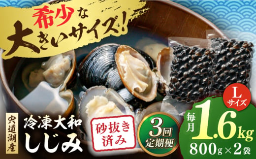 【全3回定期便】宍道湖産 冷凍大和しじみ 砂抜き済 Lサイズ800×2袋(1.6kg) 島根県松江市/しじみ市場株式会社 [ALDK006]｜シジミ 蜆 貝 魚貝類 魚介類 海鮮 簡単 お手軽 砂抜き不要 しじみ汁 大容量 1856761 - 島根県松江市