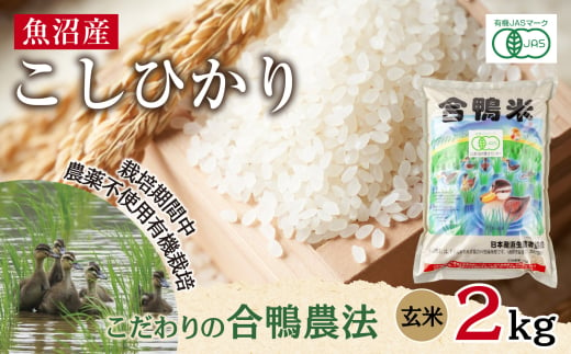 魚沼産 コシヒカリ 2kg あいがも農法 有機栽培米 玄米 米 お米 ご飯 胚芽 合鴨 ごんべい こしひかり 特A 人気 安全 お取り寄せ 送料無料 新潟県 十日町市 1882646 - 新潟県十日町市