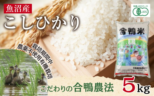 魚沼産 コシヒカリ 5kg あいがも農法 有機栽培米 精米 米 お米 ご飯 白米 合鴨 ごんべい こしひかり 特A 人気 安全 お取り寄せ 送料無料 新潟県 十日町市 1882650 - 新潟県十日町市