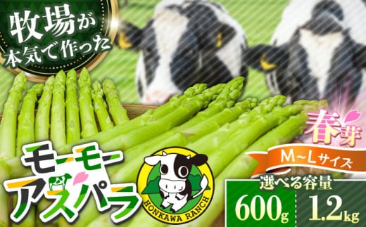 [先行予約・選べる容量]モーモーアスパラ春芽 L〜M(600g or 1.2kg / 3月下旬より順次発送) 食べやすい太さの2種セット 600g 日田市 / 有限会社本川牧場 [ARAI031/ARAI032]