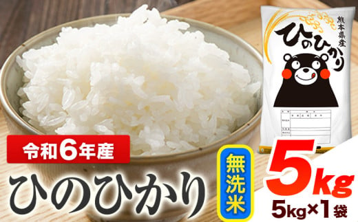 令和6年産 ひのひかり 無洗米 5kg 《7-14営業日以内に出荷予定(土日祝除く)》 熊本県産 無洗米 精米 ひの 送料無料 熊本県 山江村