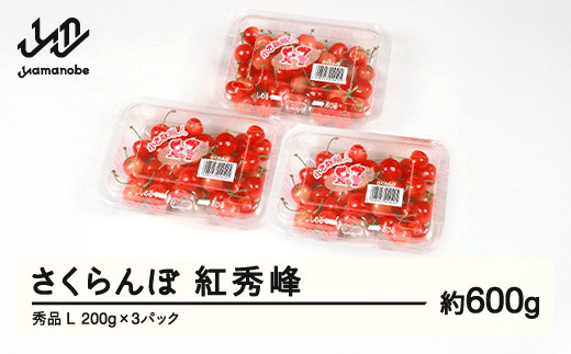 【ふるさと納税】先行予約 さくらんぼ 紅秀峰 秀品 L 約600g 令和7年産 2025年産 山形県産 フルーツ 果物 tf-bspsl600 1838515 - 山形県山辺町